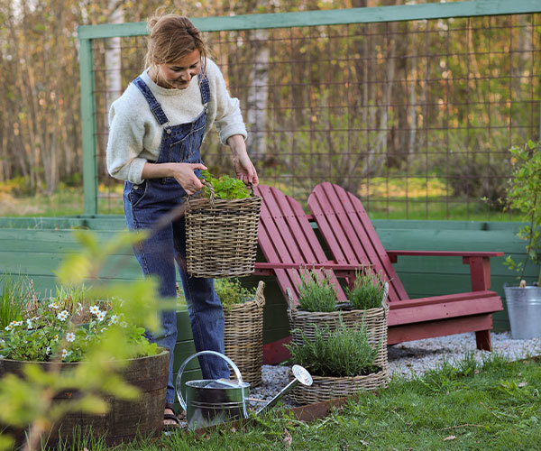 Vårfix i trädgården