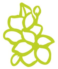 Äppelblomst grafik