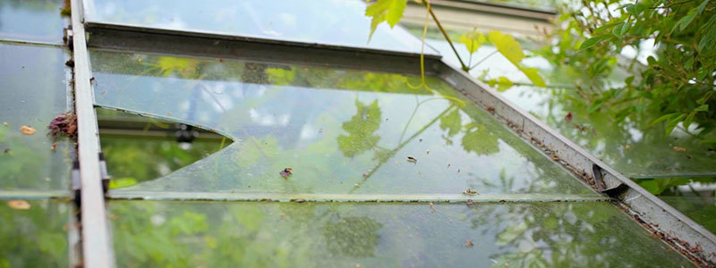 Byta glas växthus - montera ner gammal glasruta