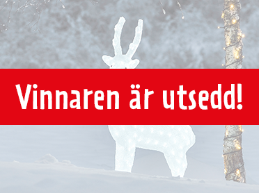 Vinnare tävling lysande ren