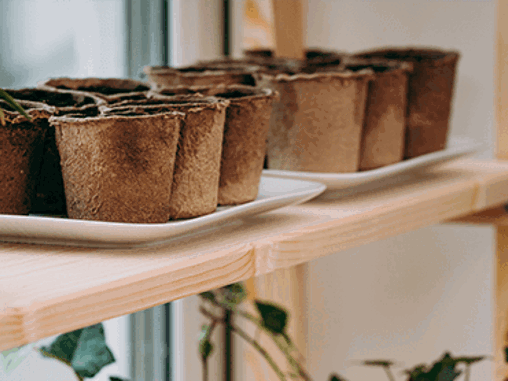 Bygg en odlingshylla till fönstret