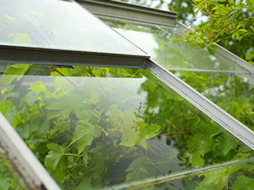 Byt rutor i växthuset