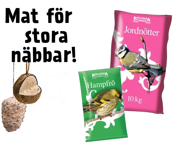 Mat för stora och små näbbar