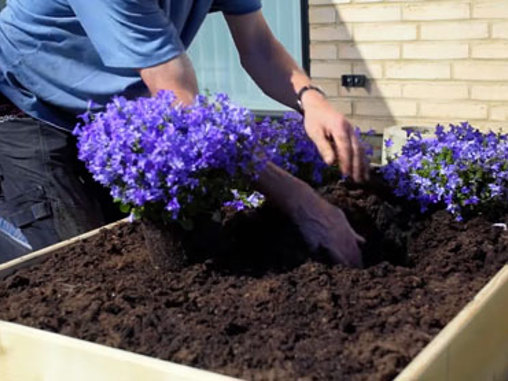 Bygga odlingslåda av pallkrage